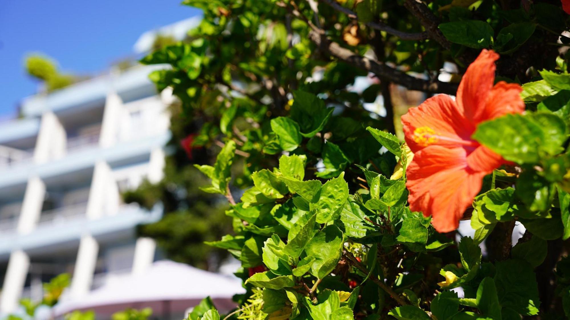 Apartamento Coral La Quinta Park *